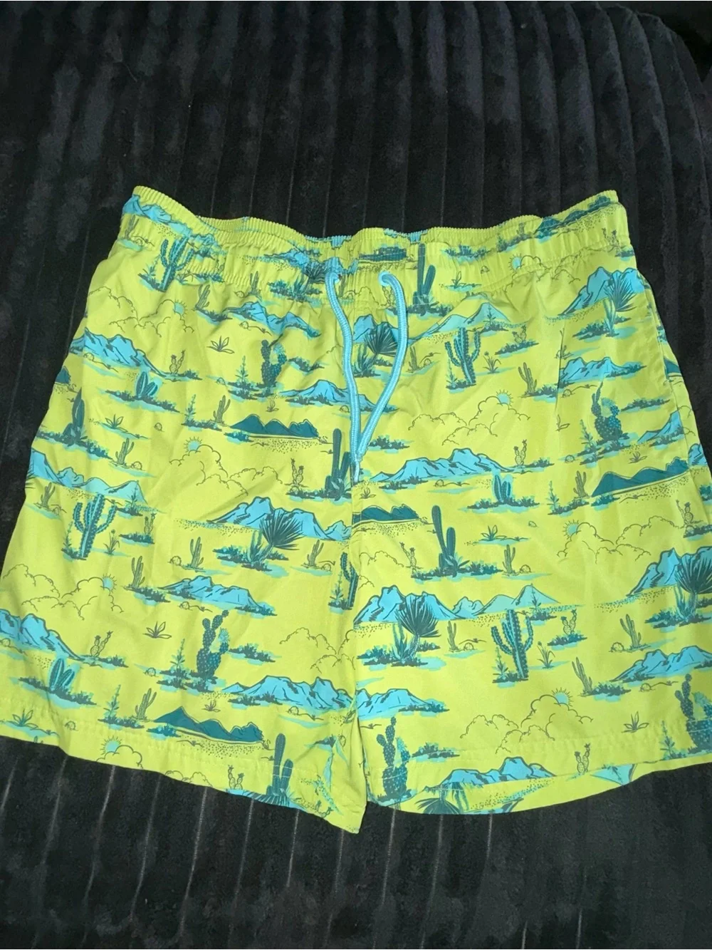 George Lime Green Swim Trunks with Blue Desert Print